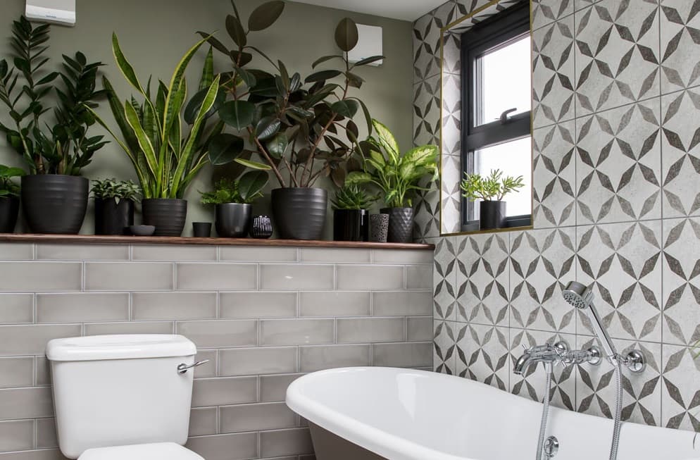Полка с растениями в ванной комнате